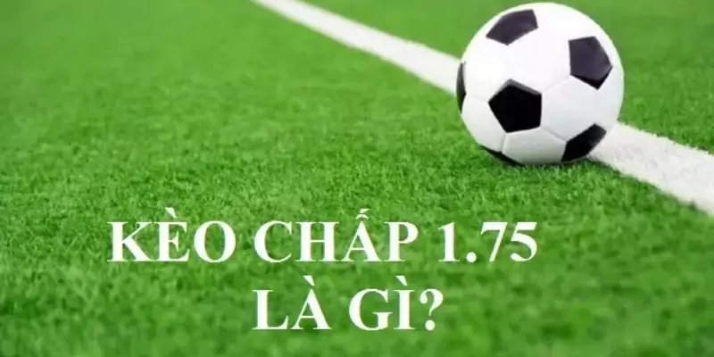 Kèo chấp 1.75 là gì? Kinh nghiệm chọn kèo chấp 1.75 7 Kèo cược khá thông dụng trong cá độ bóng đá