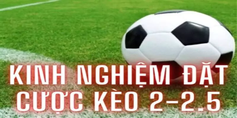 Kèo chấp 2.5 là gì? Kinh nghiệm đặt kèo 2.5 trái 10 Kinh nghiệm đặt kèo cược chấp hiệu quả