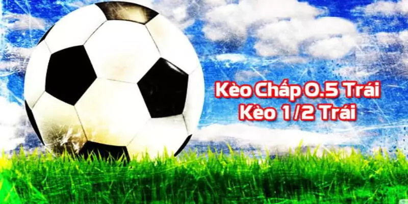 Kèo Chấp 0.5 Là Gì? Cách Bắt Kèo Cược Chấp 1/2 Siêu Dính 9 Cách đọc hết sức đơn giản