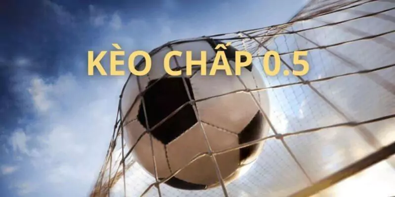 Kèo Chấp 0.5 Là Gì? Cách Bắt Kèo Cược Chấp 1/2 Siêu Dính 12 Ví dụ thứ 2 giữa Fiorentina và Inter Milan