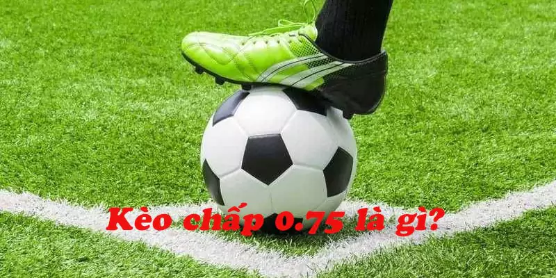 Kèo Chấp 0.75 Trái Là Gì? Cách Tính Tiền Kèo Chấp 0.75 Trái 7 Tìm hiểu thông tin cơ bản về kèo cược chấp 0.75 trái trong cá độ bóng đá