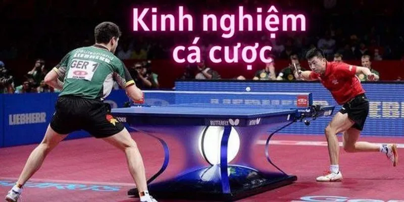 Bóng Bàn I9BET Địa Chỉ Cá Cược Thể Thao Online Uy Tín Nhất 7 Một số mẹo đặt cược bóng bàn I9BET hiệu quả