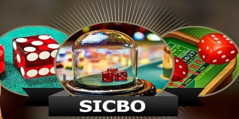 Tài Xỉu Sicbo I9BET Và Cách Chơi Chuẩn Nhất Hiện Nay 13 Nằm lòng kinh nghiệm tham gia Sicbo chi tiết nhất