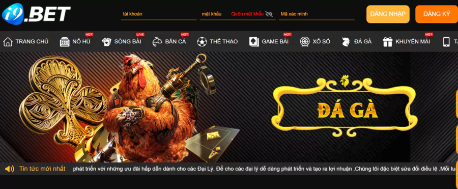 Đá Gà I9BET - Sân Chơi Chuyên Nghiệp Cho Toàn Bộ Kê Thủ 1 Giới thiệu về dịch vụ cá cược đá gà I9BET